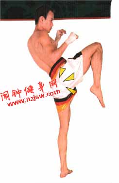 泰拳膝技的基本技法教学